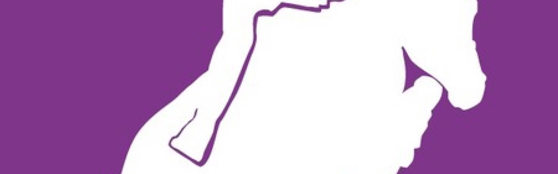 Calendrier Cso 2021 Comite Regional D Equitation Bourgogne Franche Comte calendrier cso 2021